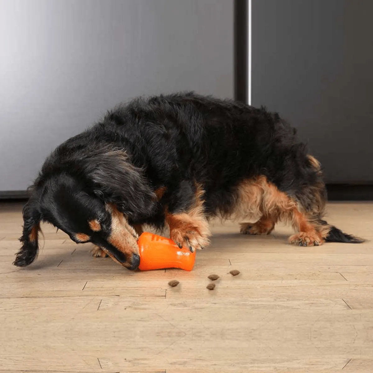 Hagen BIONIC Treat Shaker