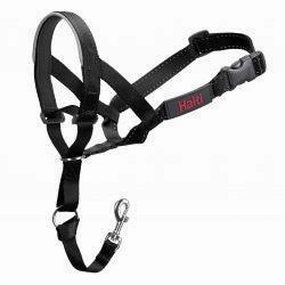 HALTI Headcollar