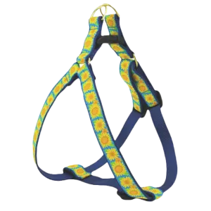 Harness | Bright Sunflowers