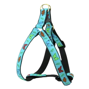 Harness | Butterfly Effect