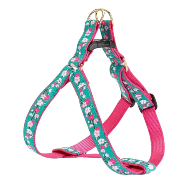Harness | Cherry Blossom