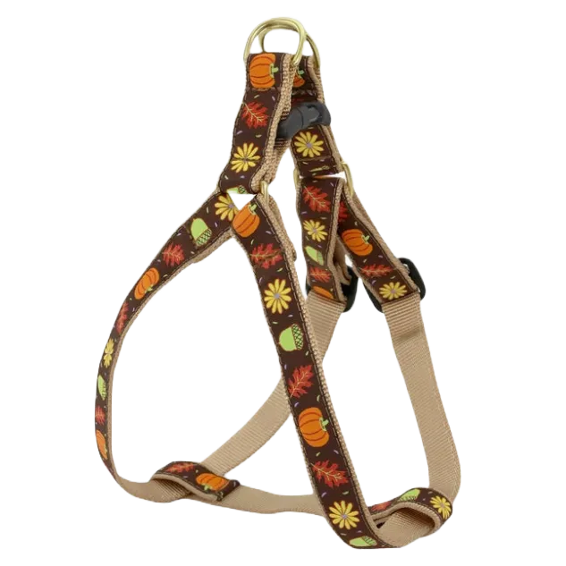 Harness | Harvest Time