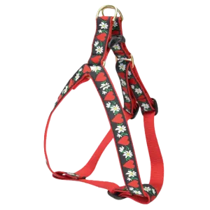 Harness | Hearts & Flowers