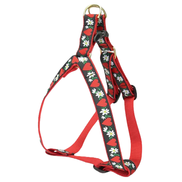 Harness | Hearts & Flowers