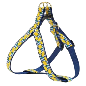 Harness | Make Lemonade