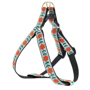 Harness | Orange You Pretty
