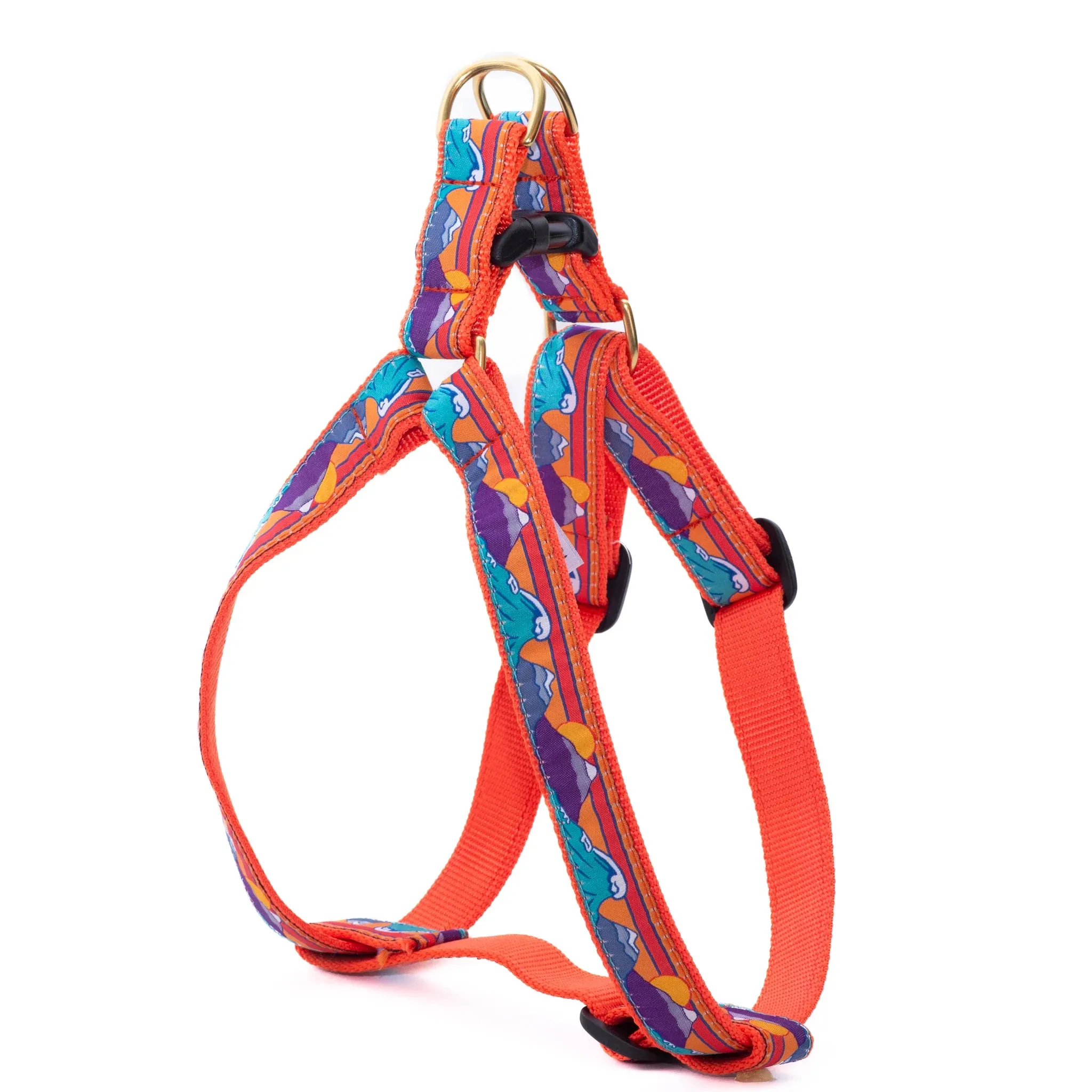 Harness | Surf & Ski