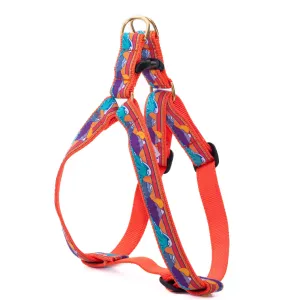 Harness | Surf & Ski