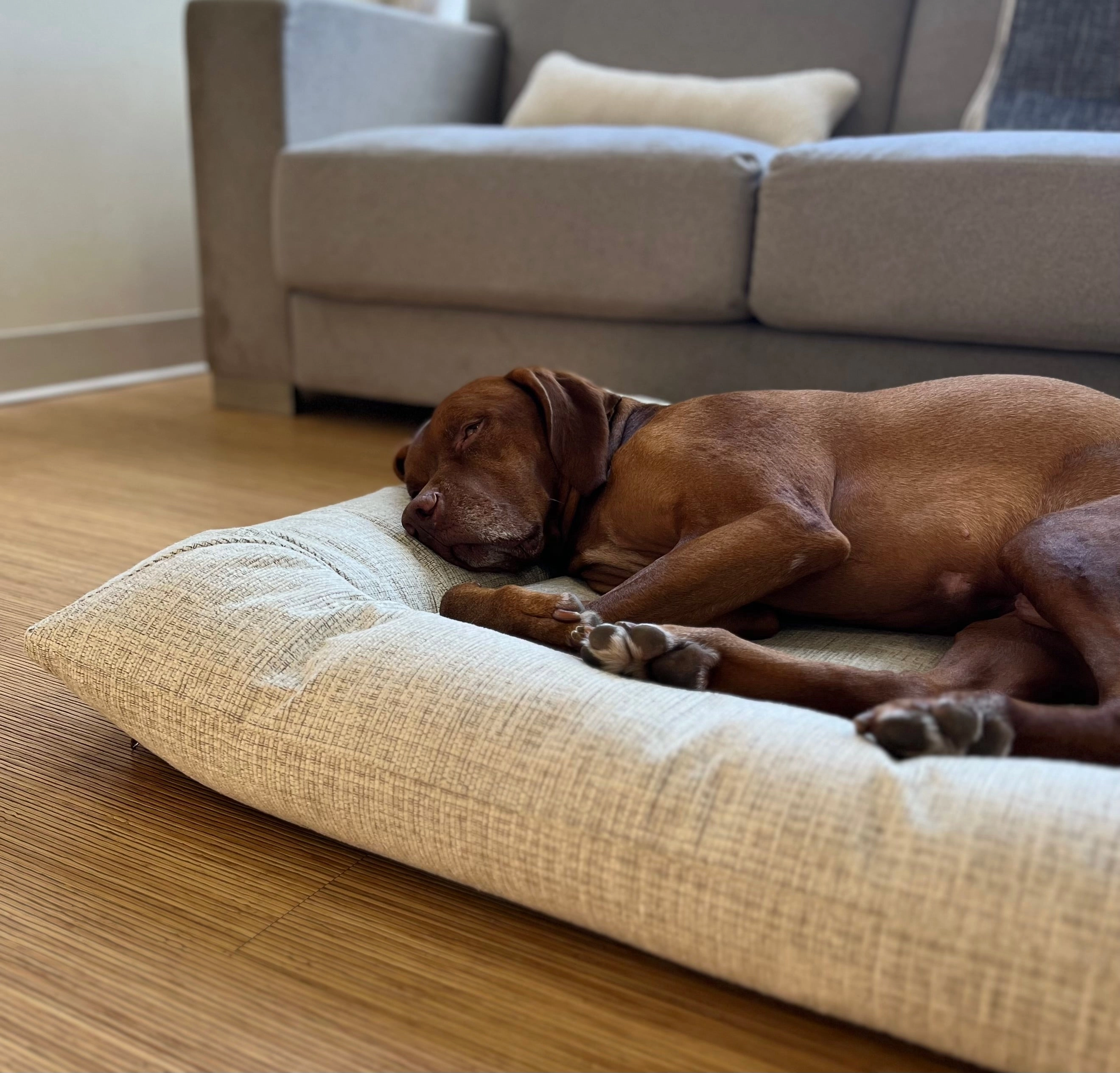 Hugo Futon | Chenille Birch