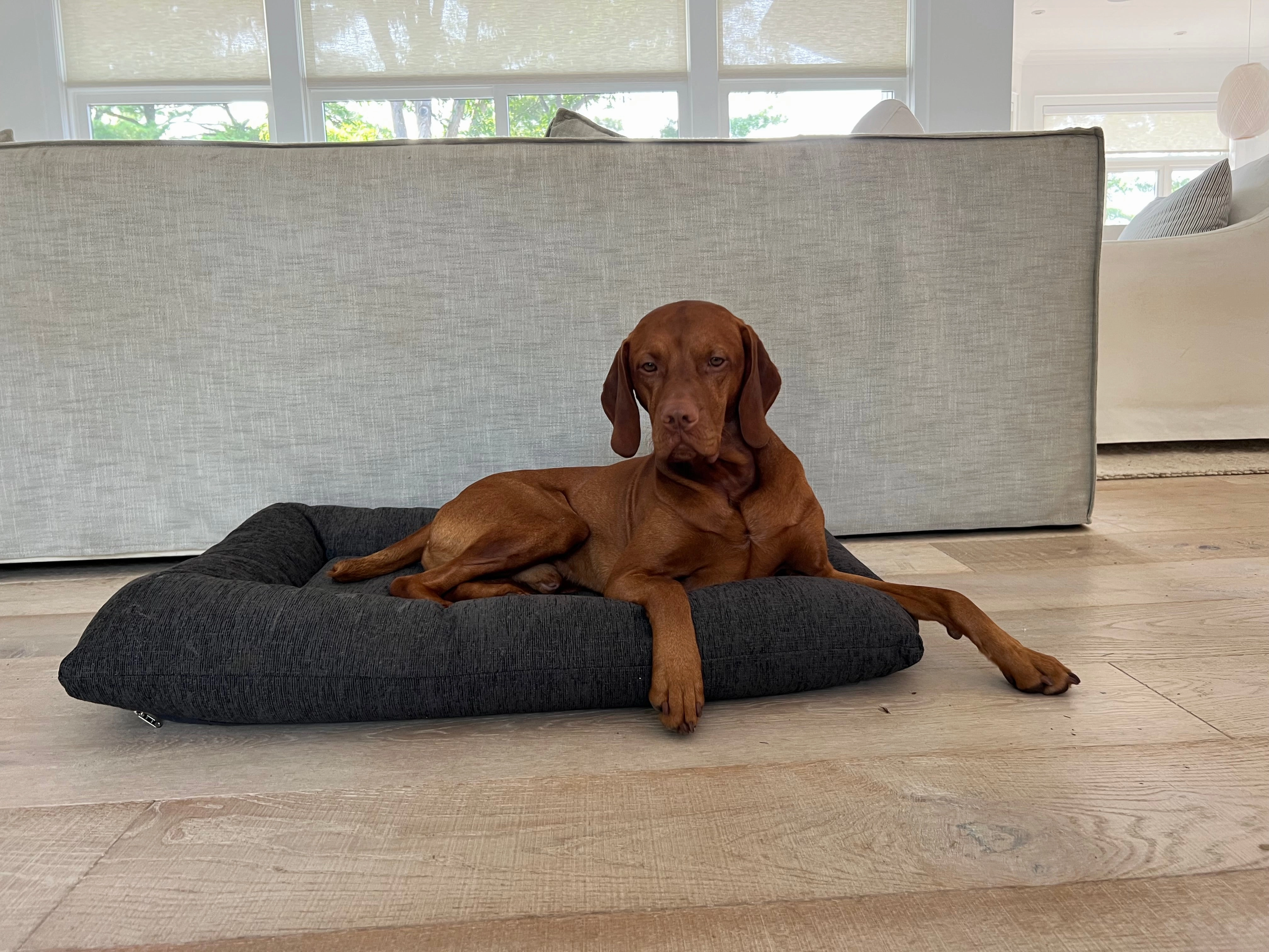 Hugo Futon | Chenille Charcoal