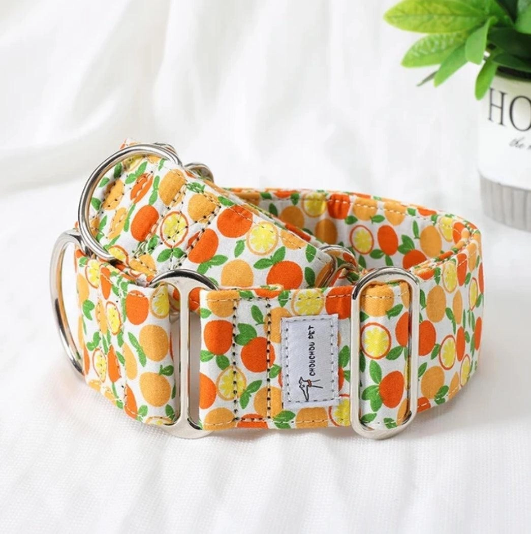 Italian Martingale Adjustable Collar