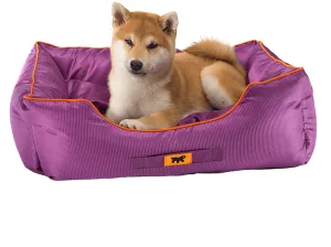 Jazzy 50 Bedding Purple