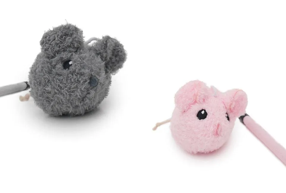 Jolly Moggy Mice Teaser