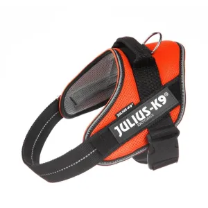 Julius-K9 Idc PowairHarness Orange / Medium