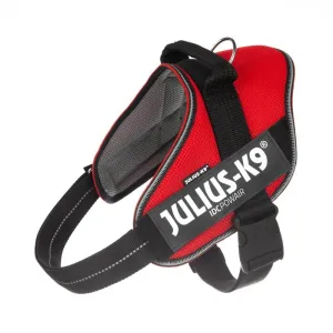 Julius-K9 Idc PowairHarness Red / Xl