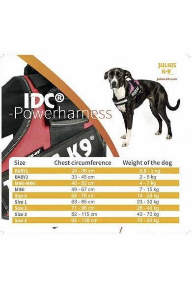 Julius-K9 Idc High Visibility Power Harness For Dog