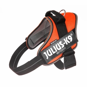 Julius-K9 Idc PowairHarness Orange / Large