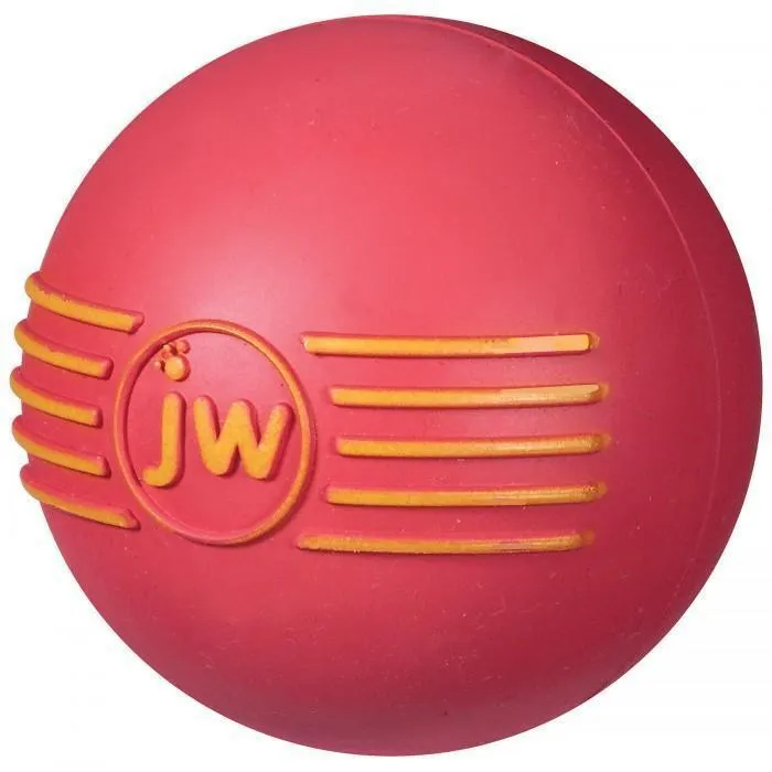 JW iSqueak Ball Medium Dog Toy