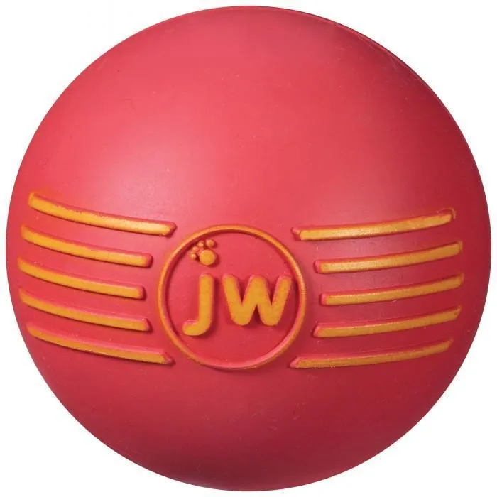 JW iSqueak Ball Medium Dog Toy