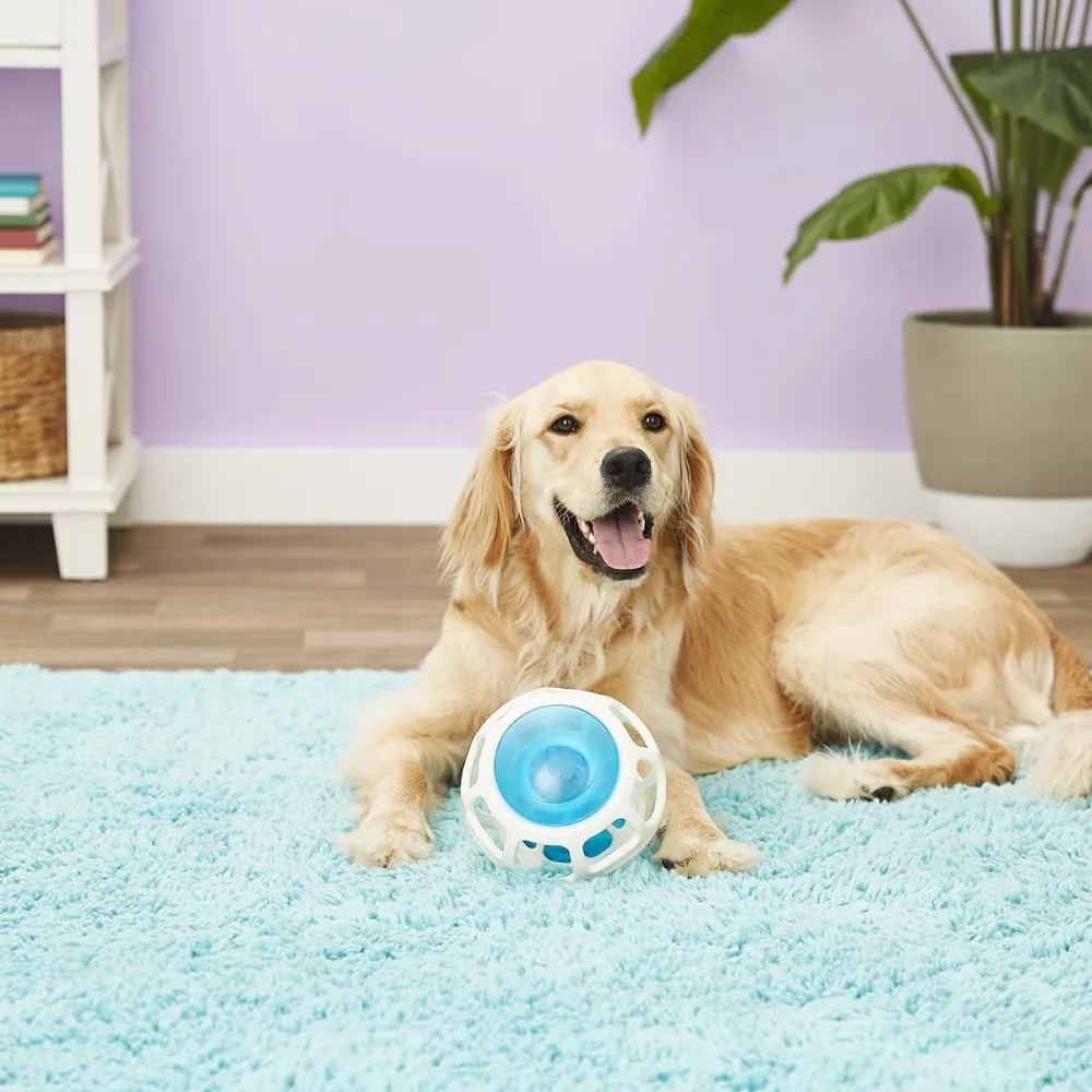 JW Rockin Treat Ball Toy for Dogs (White/Blue)