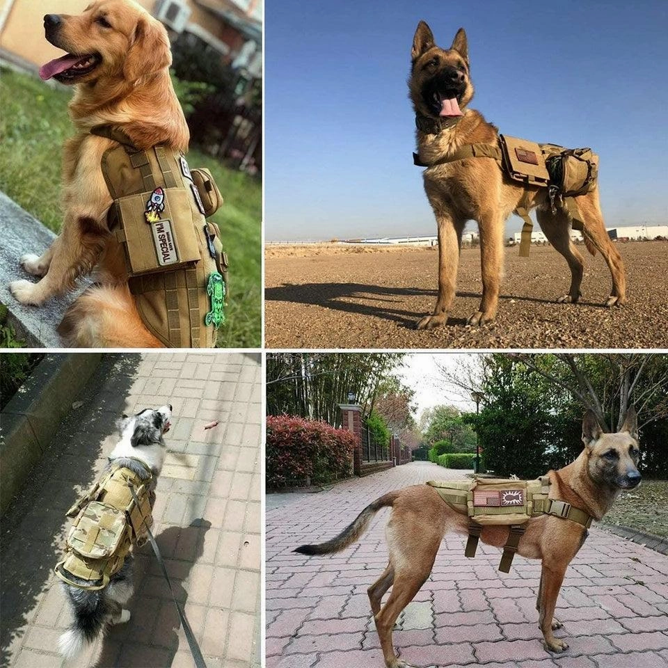 K9 Tactical Harness Patch