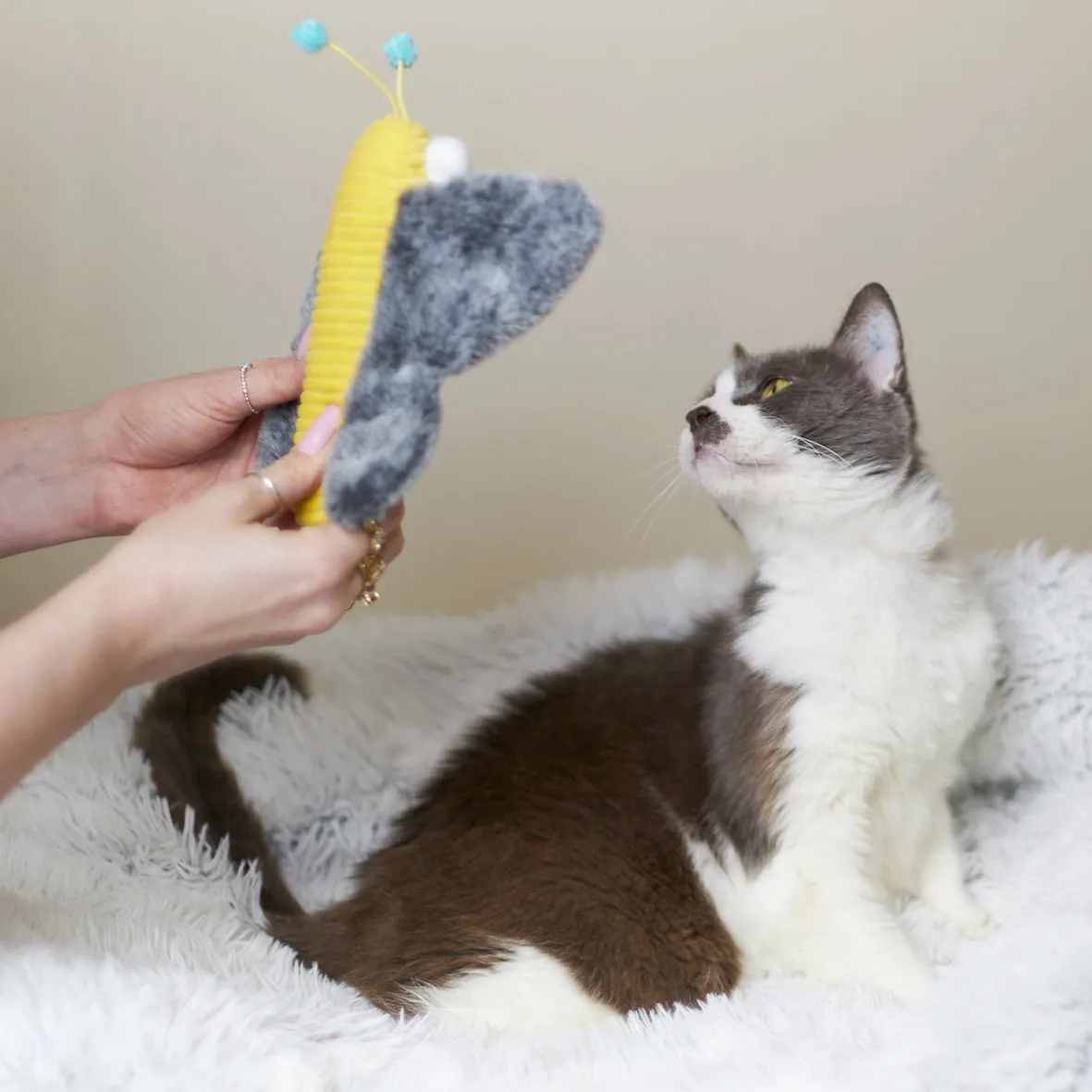 Kazoo Butterfly Kicker Cat Toy