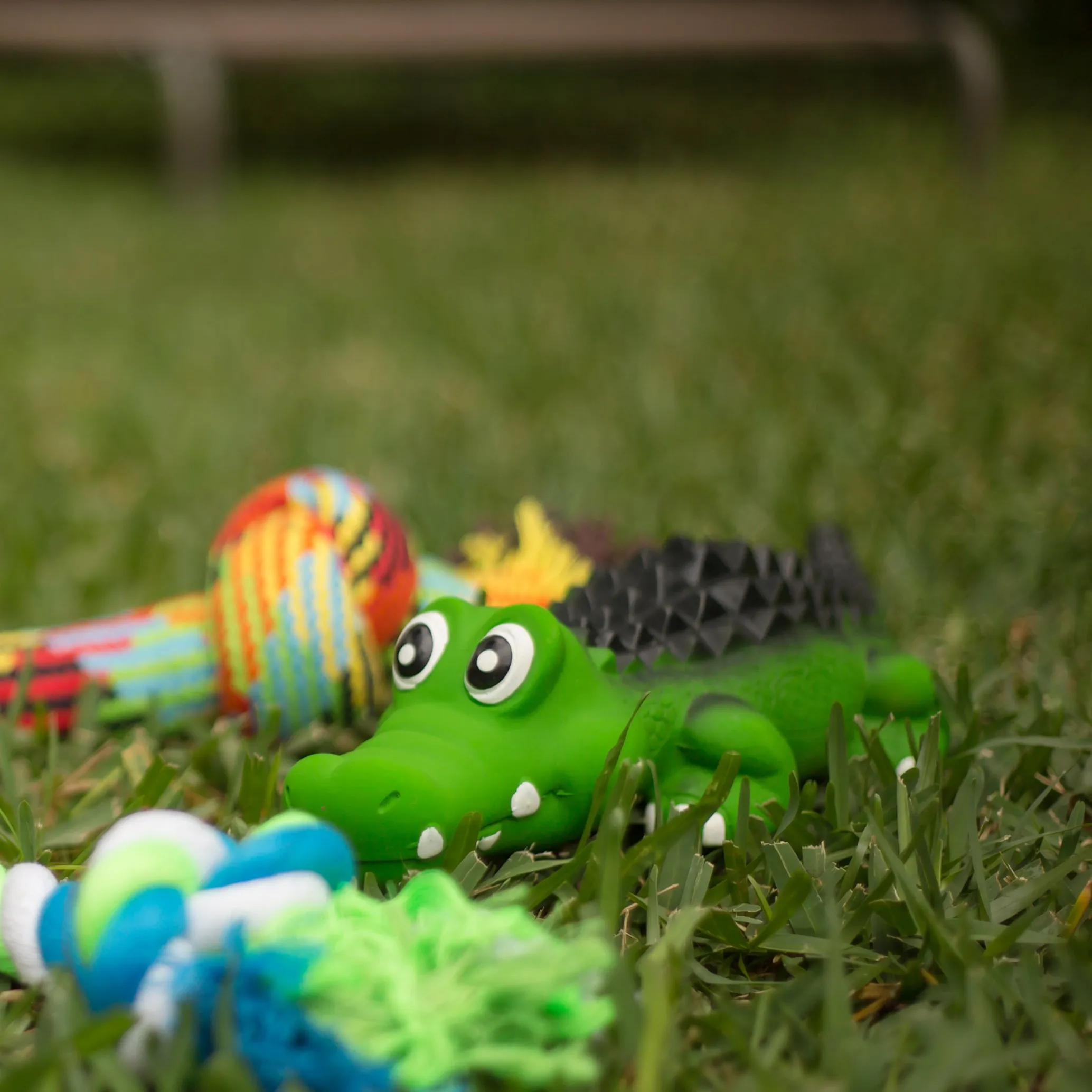 Kazoo Cool Crocodile Medium Dog Toy