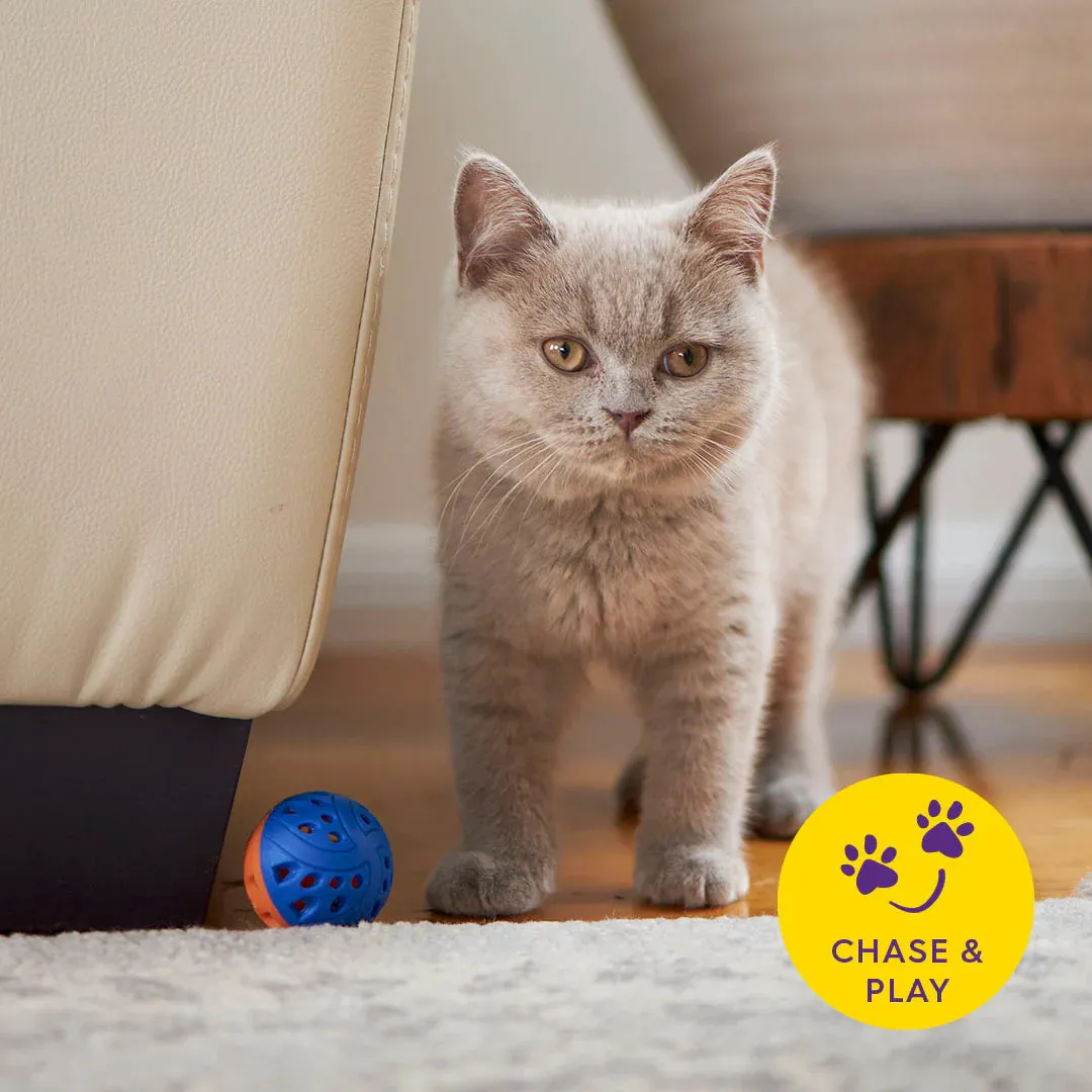Kazoo Jingle Ball Cat Toy