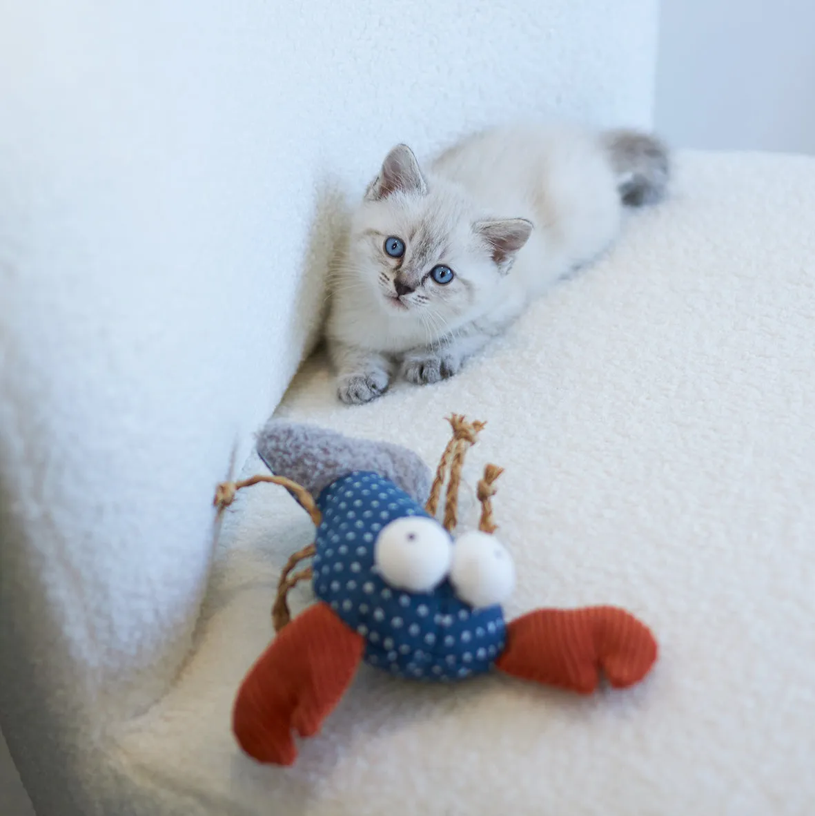 Kazoo Snappy Lobster Cat Toy