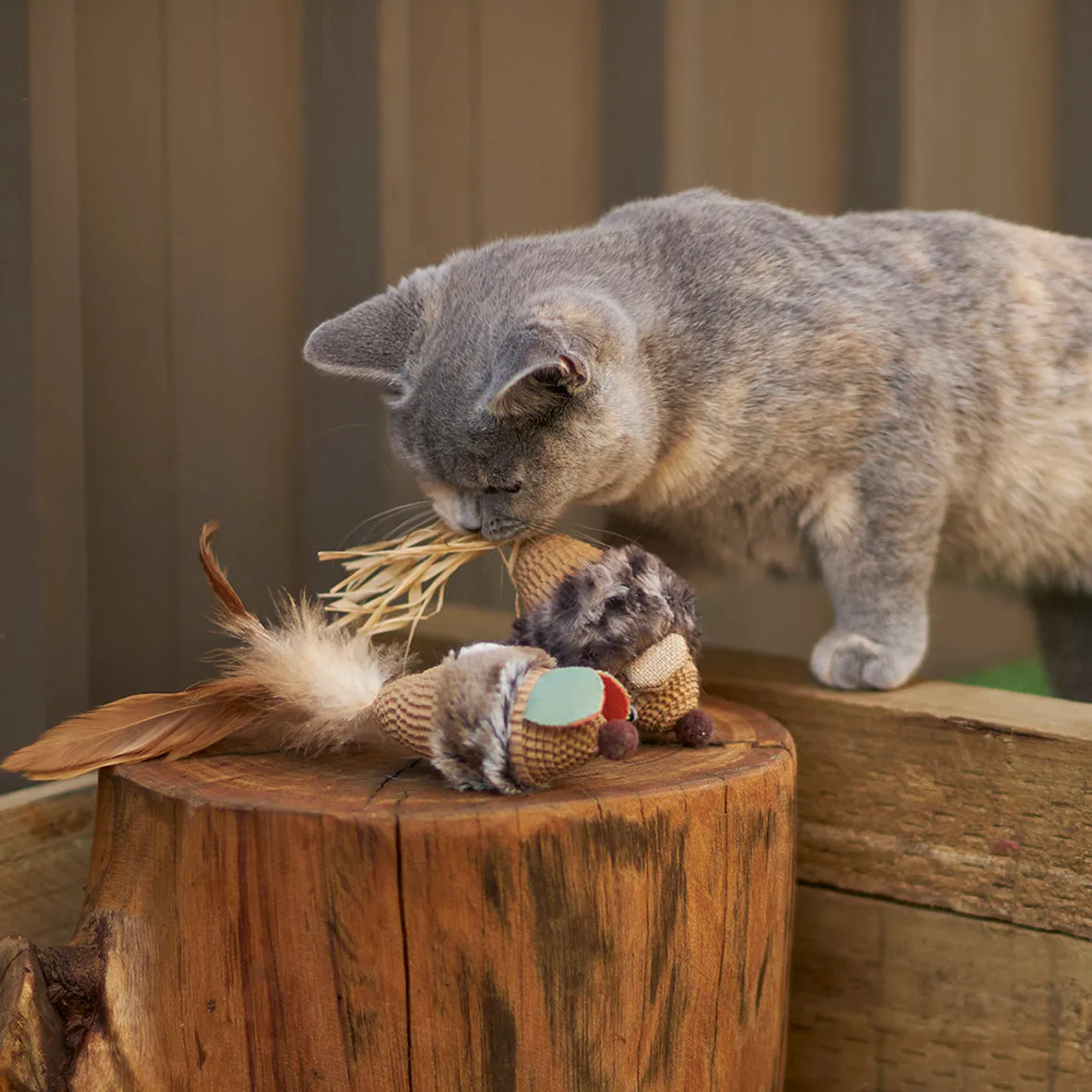 Kazoo Sneaky Mouse Cat Toy
