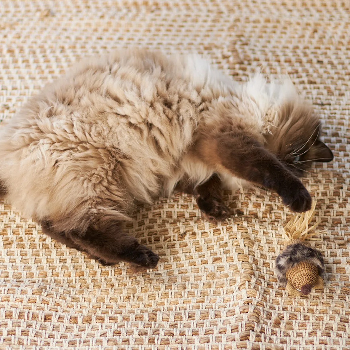 Kazoo Sneaky Mouse Cat Toy