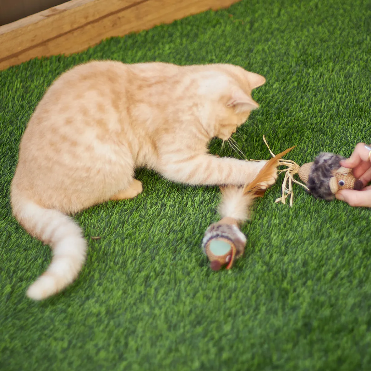 Kazoo Sneaky Mouse Cat Toy