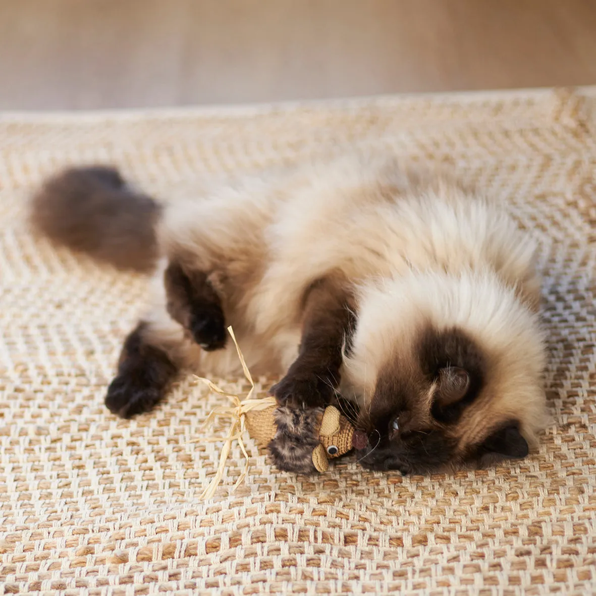 Kazoo Sneaky Mouse Cat Toy
