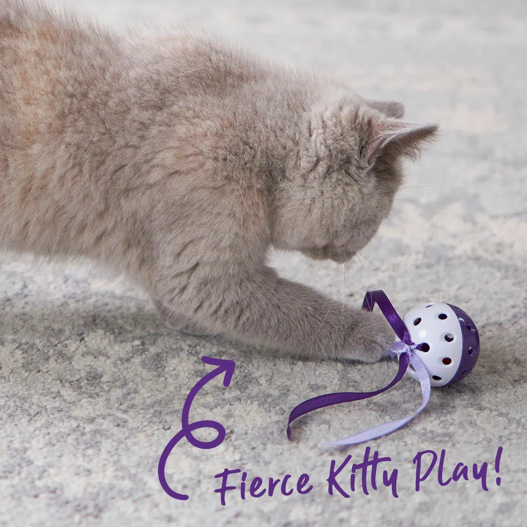 Kazoo Streamer Ball Cat Toy