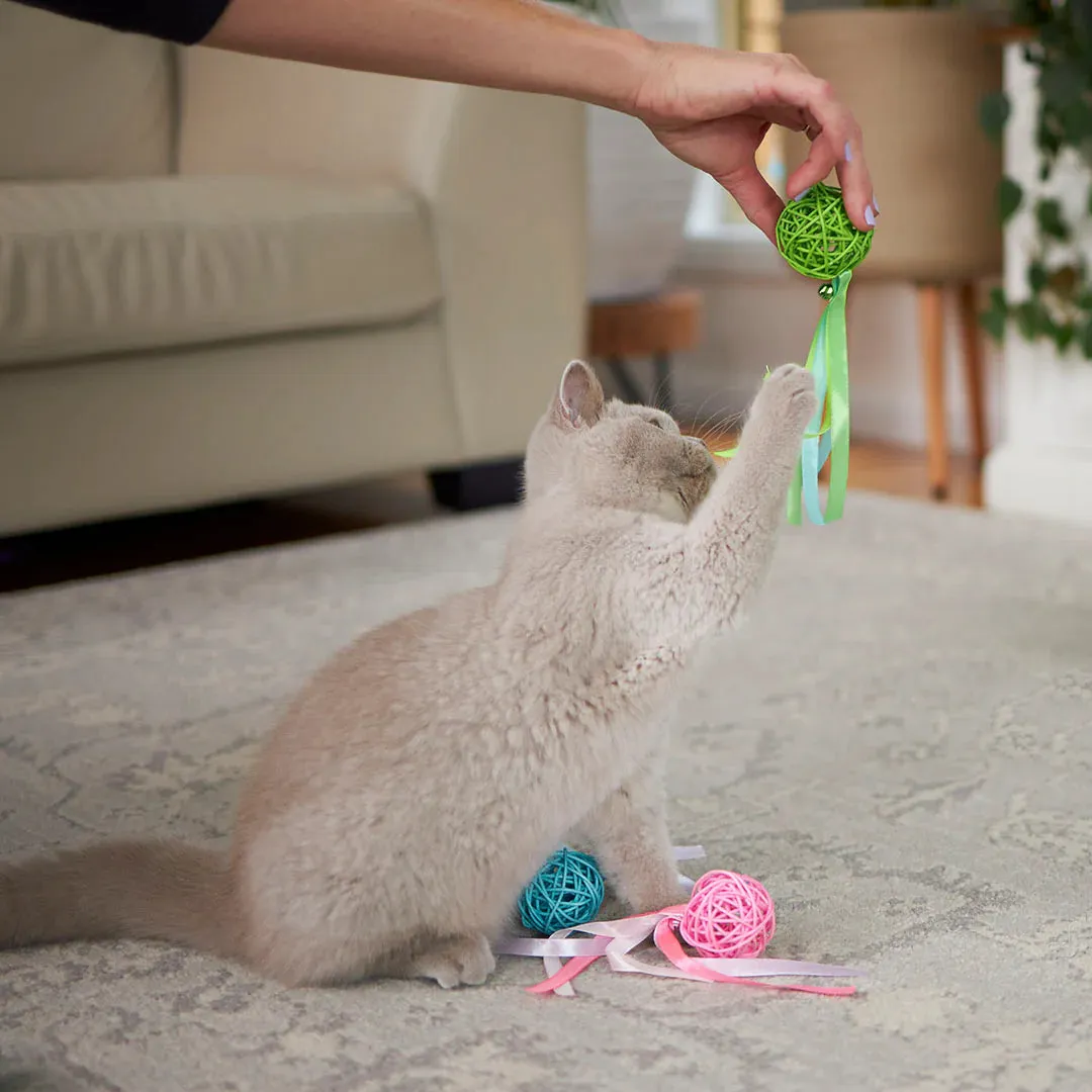 Kazoo Wicker Ball Cat Toy
