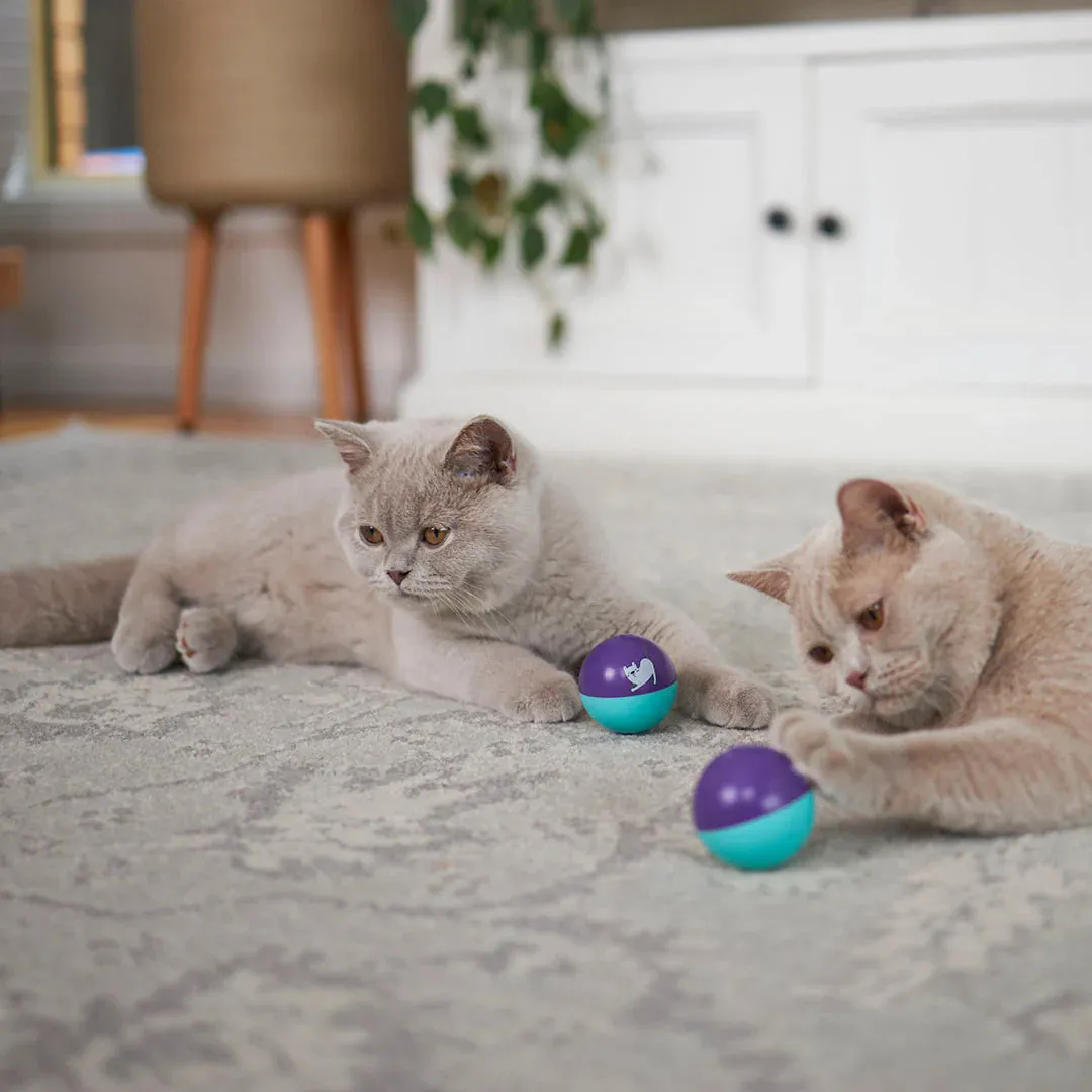 Kazoo Wobble Ball Cat Toy