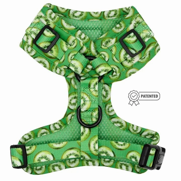 Kiwi Krazy Adjustable Harness