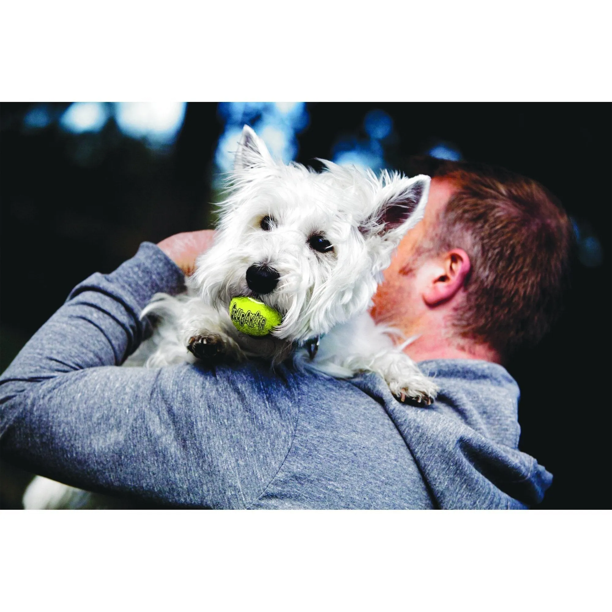 KONG Airdog Squeaker Balls Large Dog Toy 2 Pack ($)($)