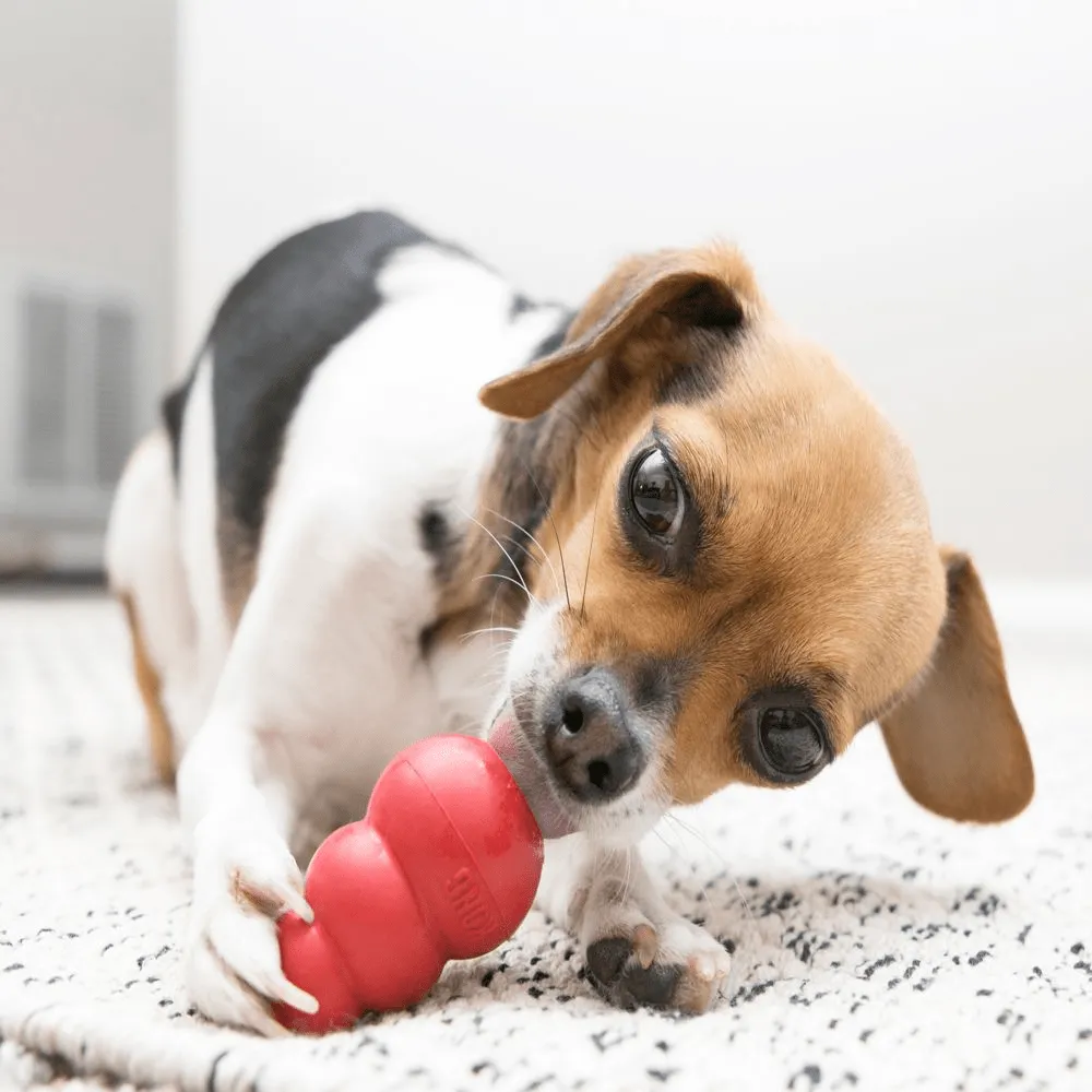 Kong Classic Toy for Dogs (Red) | For Aggressive Chewers