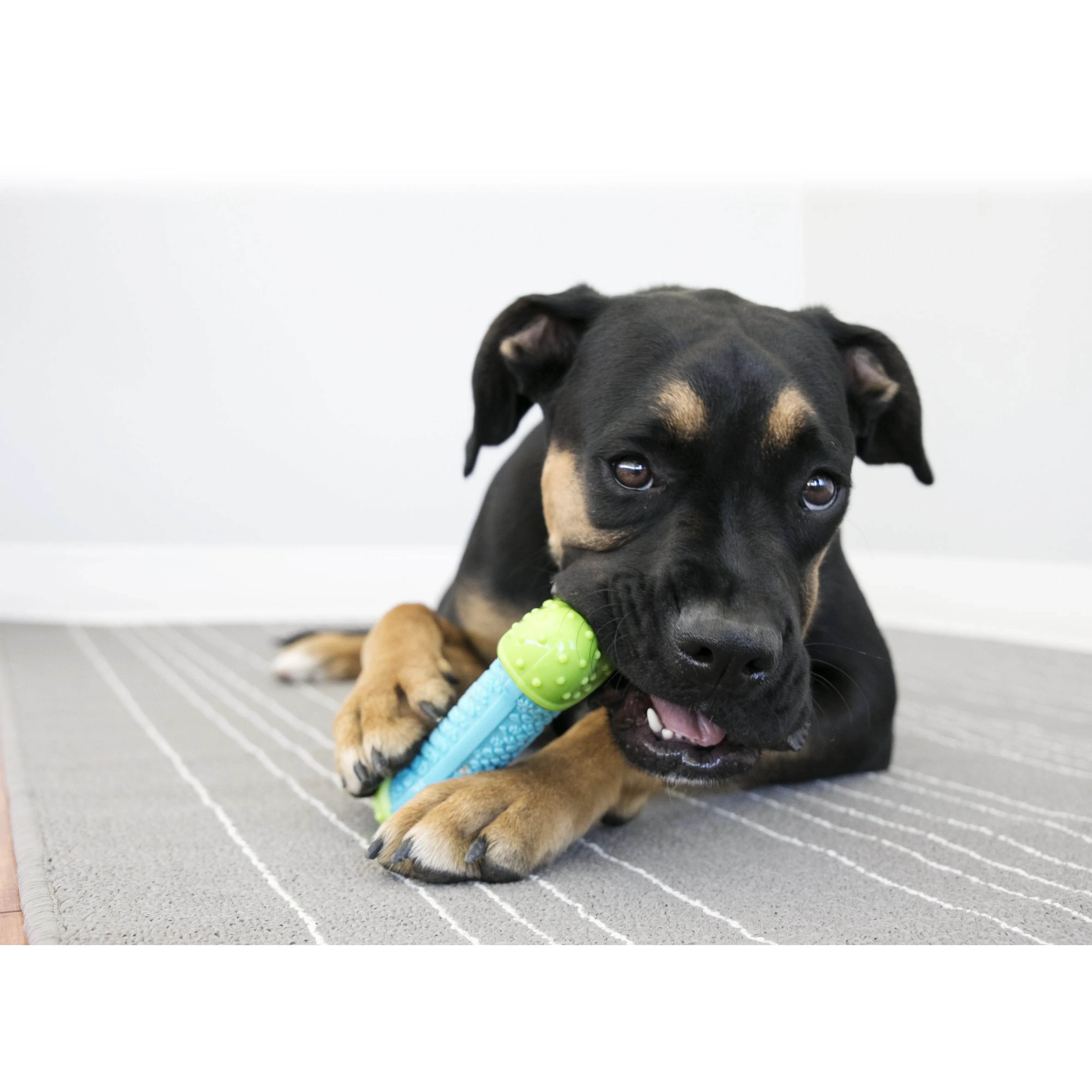 KONG Corestrength Ball Medium Dog Toy ($)($)