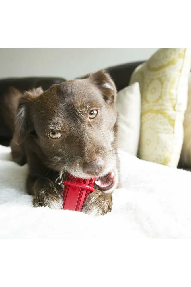 Kong Dental Stick