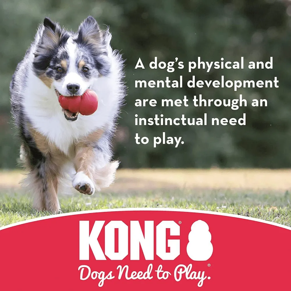 Kong Extreme Flyer Toy for Dogs