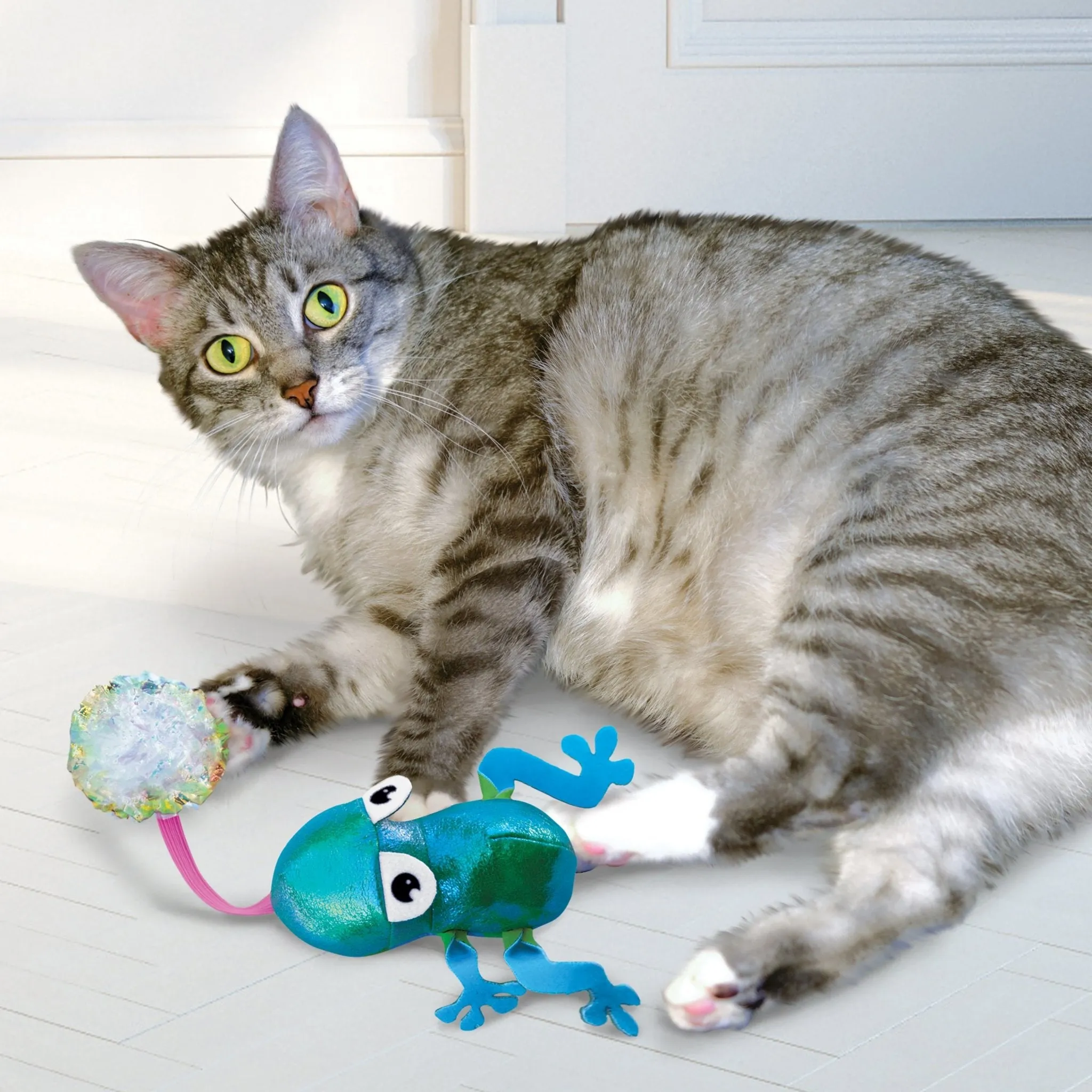Kong Flingaroo Frog Cat Toy