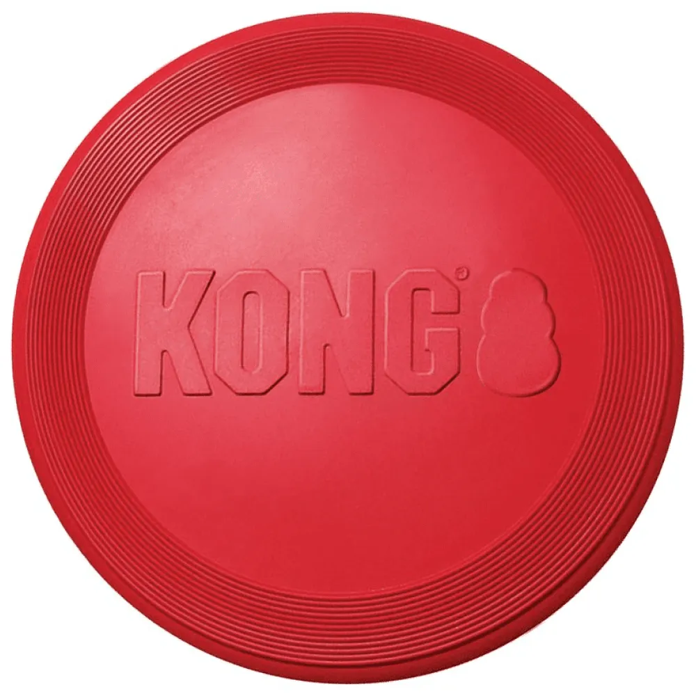 Kong Flyer Toy for Dogs