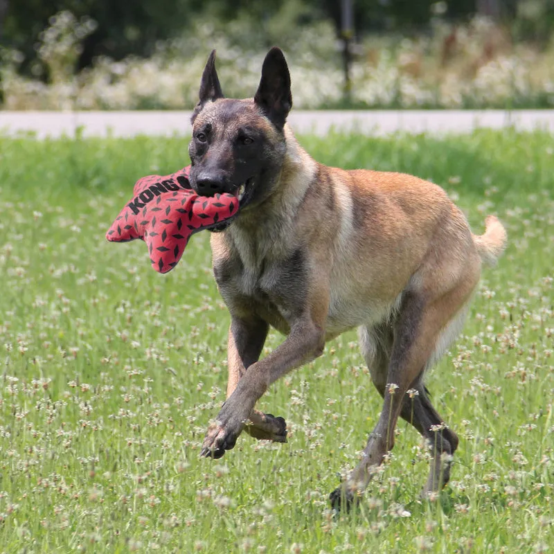 KONG Maxx Star Small to Medium Dog Toy