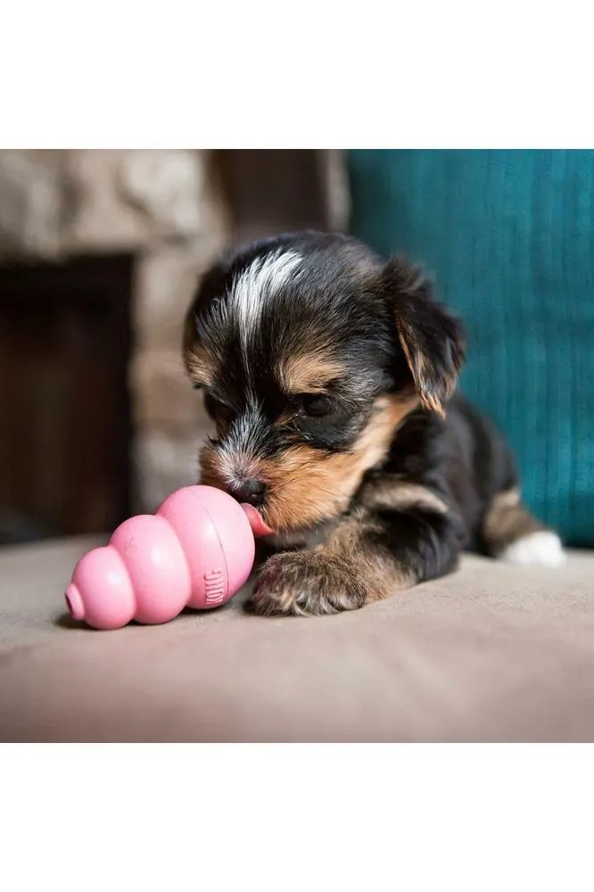 Kong Puppy Dog Toy