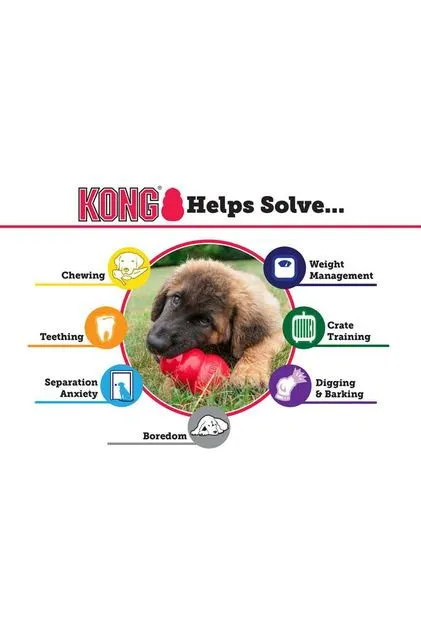 Kong Puppy Dog Toy