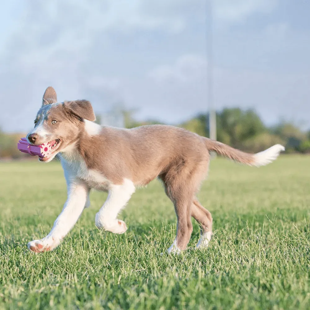 Kong Puppy Teething Stick Chew Toy (Blue)