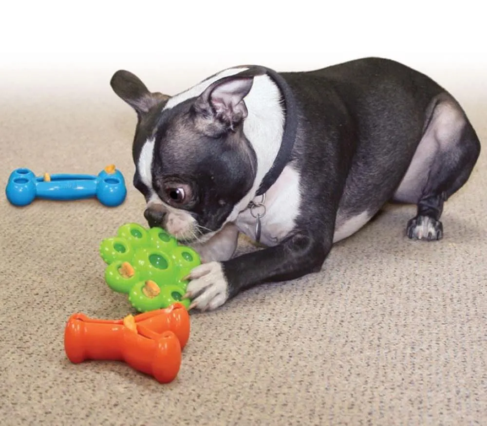 Kong Quest Wishbone Treat Dispensing Dog Toy Large