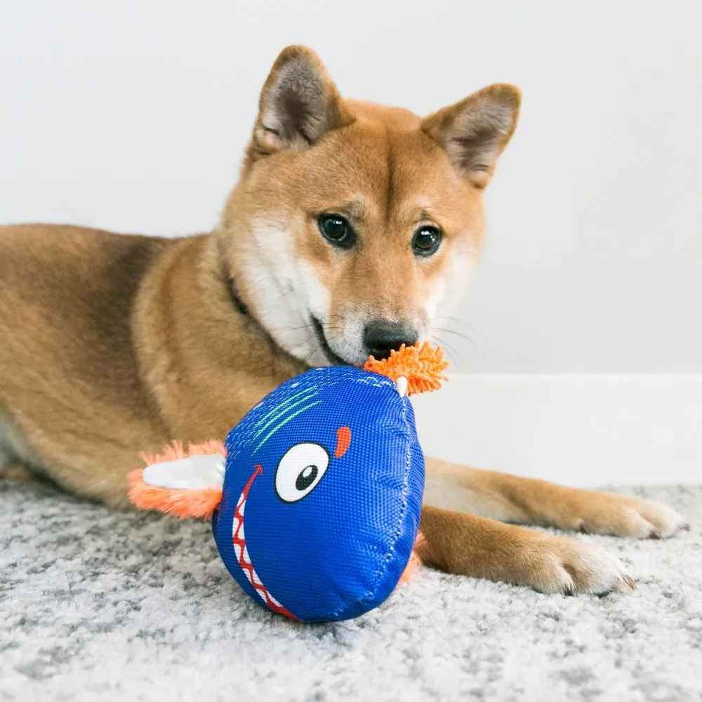 Kong Reefz Assorted Fish Dog Toy Large